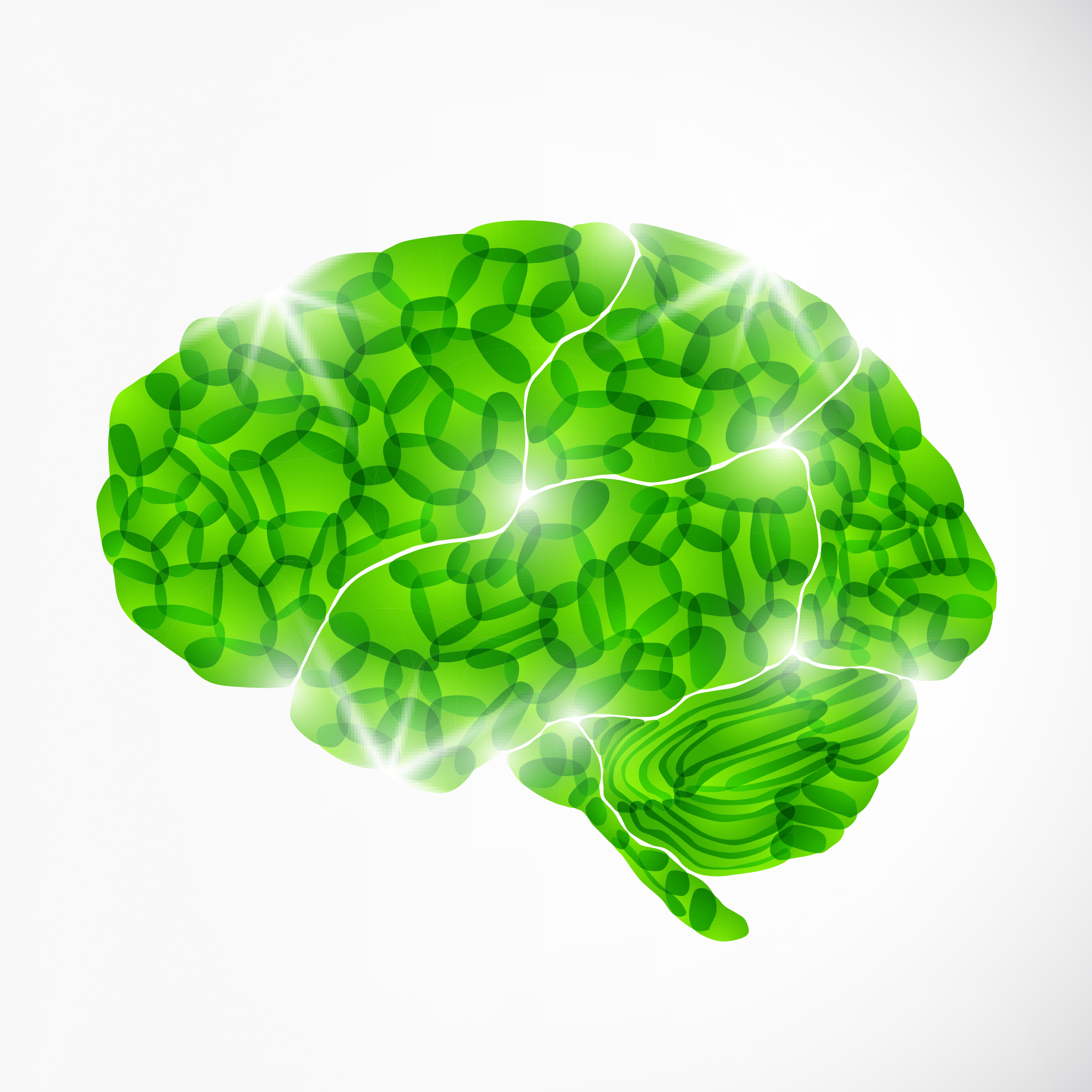3brain